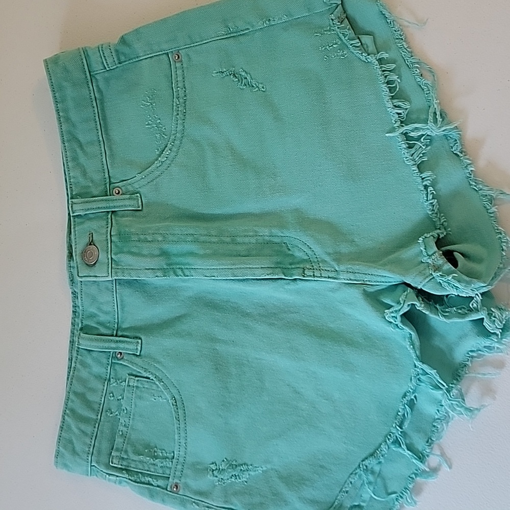 Wild Fable Mint Distressed denim shorts